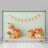 Aperturee - Aperturee Fresh Pink Peachy Lights Wall Cake Smash Backdrop